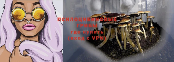 индика Коряжма