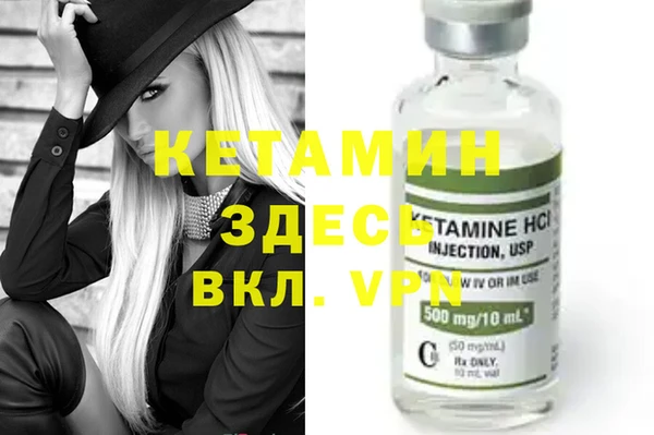 индика Коряжма