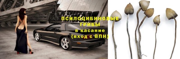 индика Коряжма