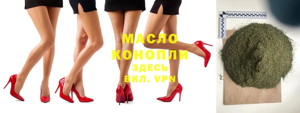 индика Коряжма