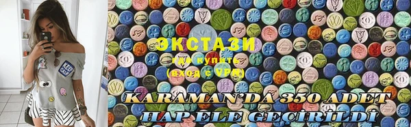 индика Коряжма