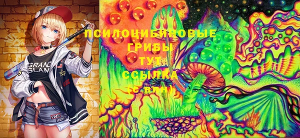 индика Коряжма