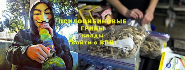 a pvp Корсаков
