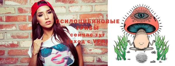 индика Коряжма