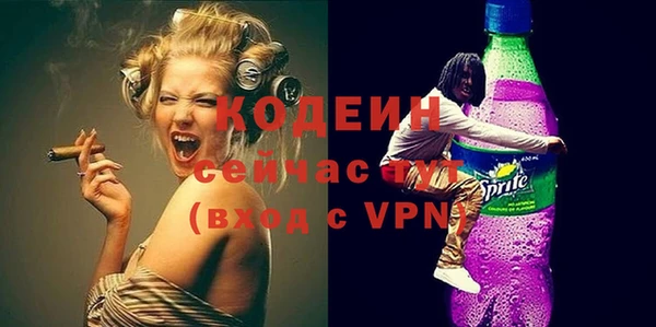 индика Коряжма